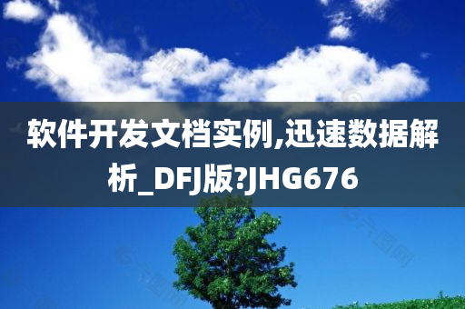 软件开发文档实例,迅速数据解析_DFJ版?JHG676