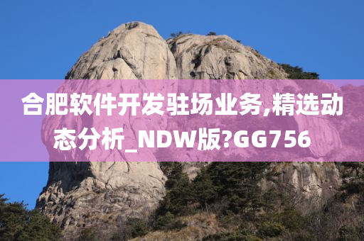 合肥软件开发驻场业务,精选动态分析_NDW版?GG756