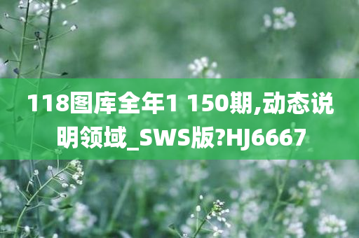 118图库全年1 150期,动态说明领域_SWS版?HJ6667