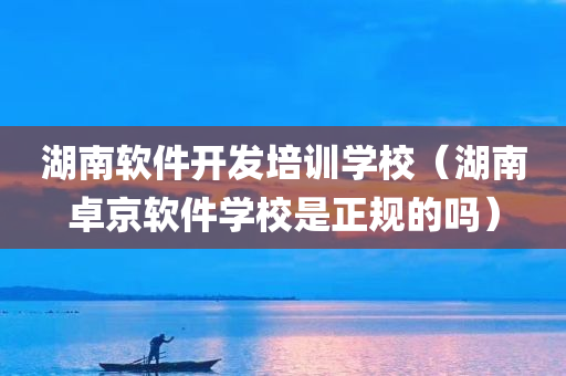 湖南软件开发培训学校（湖南卓京软件学校是正规的吗）