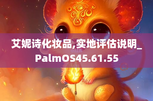 艾妮诗化妆品,实地评估说明_PalmOS45.61.55