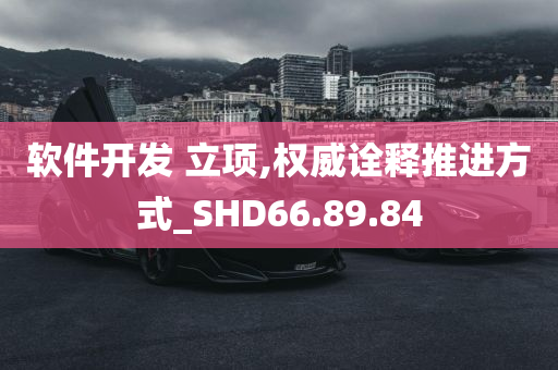 软件开发 立项,权威诠释推进方式_SHD66.89.84