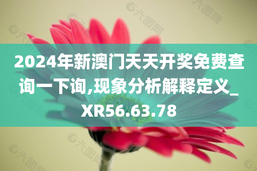 2024年新澳门天天开奖免费查询一下询,现象分析解释定义_XR56.63.78