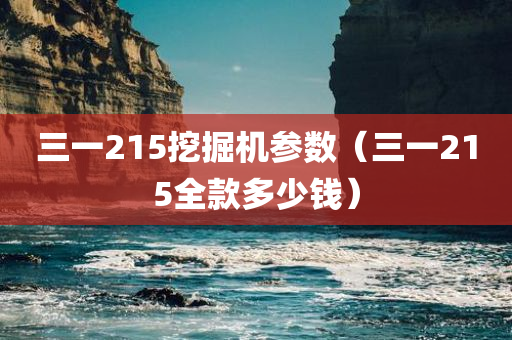 三一215挖掘机参数（三一215全款多少钱）