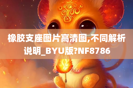 橡胶支座图片高清图,不同解析说明_BYU版?NF8786