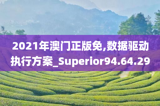 2021年澳门正版免,数据驱动执行方案_Superior94.64.29