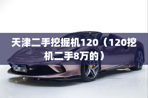 天津二手挖掘机120（120挖机二手8万的）