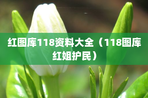 红图库118资料大全（118图库红姐护民）