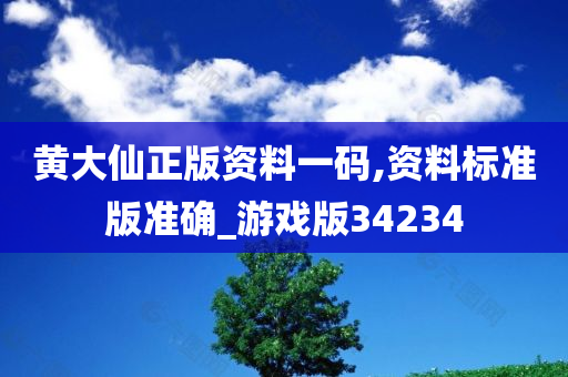 黄大仙正版资料一码,资料标准版准确_游戏版34234