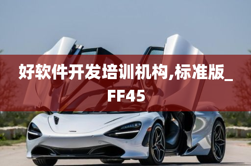 好软件开发培训机构,标准版_FF45