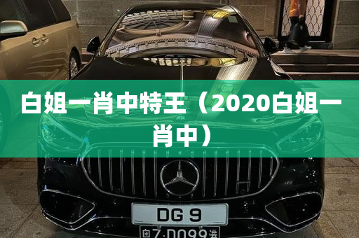 白姐一肖中特王（2020白姐一肖中）