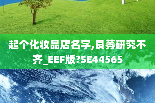 起个化妆品店名字,良莠研究不齐_EEF版?SE44565