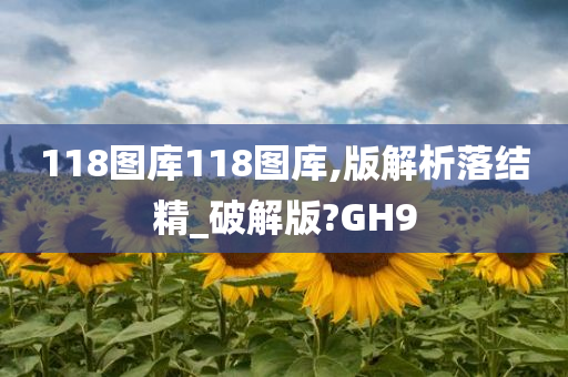 118图库118图库,版解析落结精_破解版?GH9