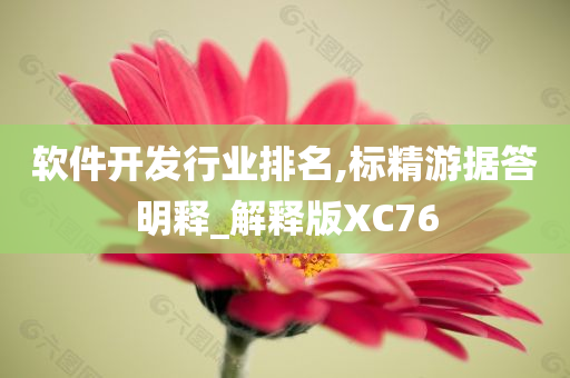 软件开发行业排名,标精游据答明释_解释版XC76