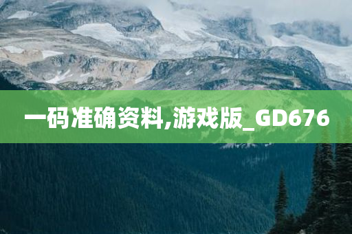 一码准确资料,游戏版_GD676