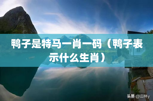 鸭子是特马一肖一码（鸭子表示什么生肖）