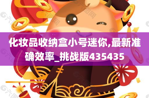 化妆品收纳盒小号迷你,最新准确效率_挑战版435435