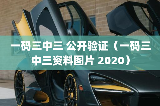 一码三中三 公开验证（一码三中三资料图片 2020）