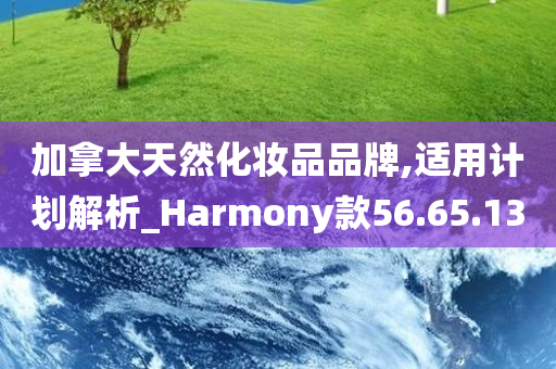 加拿大天然化妆品品牌,适用计划解析_Harmony款56.65.13