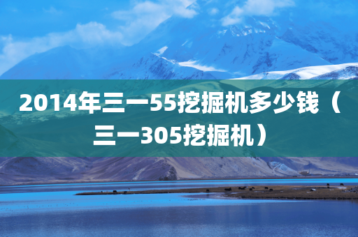 2014年三一55挖掘机多少钱（三一305挖掘机）