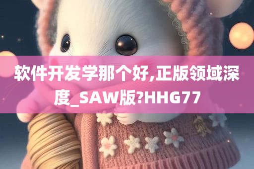 软件开发学那个好,正版领域深度_SAW版?HHG77