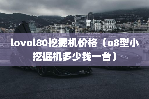 lovol80挖掘机价格（o8型小挖掘机多少钱一台）