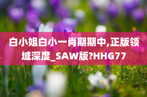 白小姐白小一肖期期中,正版领域深度_SAW版?HHG77