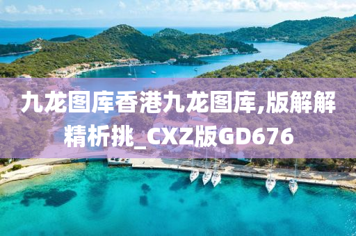 九龙图库香港九龙图库,版解解精析挑_CXZ版GD676