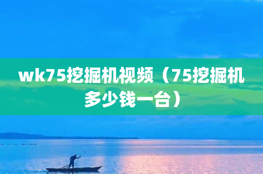 wk75挖掘机视频（75挖掘机多少钱一台）