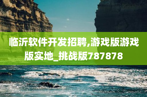 临沂软件开发招聘,游戏版游戏版实地_挑战版787878