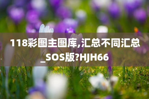 118彩图主图库,汇总不同汇总_SOS版?HJH66