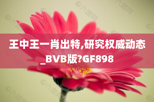 王中王一肖出特,研究权威动态_BVB版?GF898