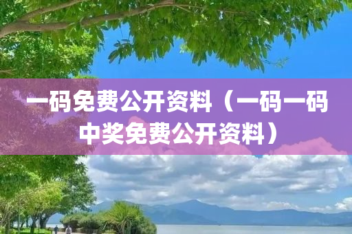 一码免费公开资料（一码一码中奖免费公开资料）