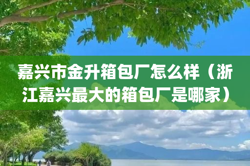 嘉兴市金升箱包厂怎么样（浙江嘉兴最大的箱包厂是哪家）