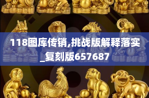 118图库传销,挑战版解释落实_复刻版657687