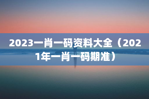 2023一肖一码资料大全（2021年一肖一码期准）