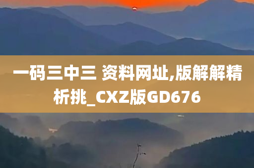 一码三中三 资料网址,版解解精析挑_CXZ版GD676