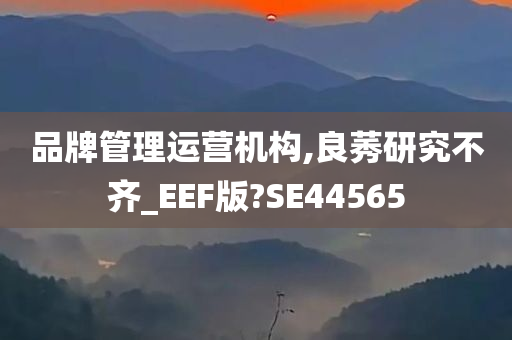 品牌管理运营机构,良莠研究不齐_EEF版?SE44565