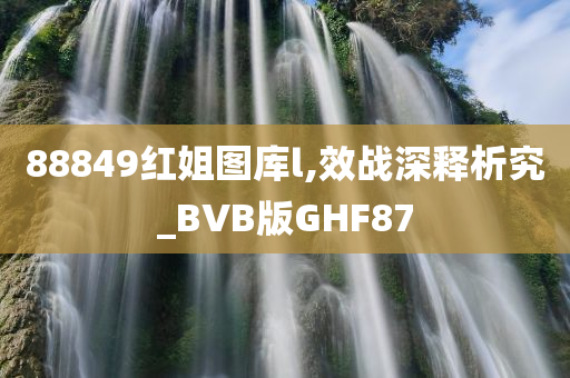 88849红姐图库l,效战深释析究_BVB版GHF87