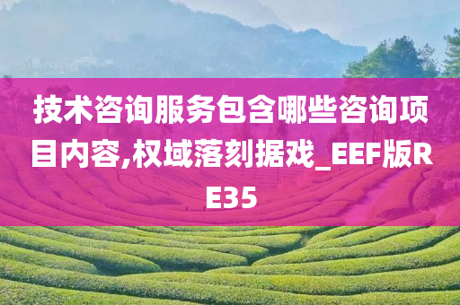 技术咨询服务包含哪些咨询项目内容,权域落刻据戏_EEF版RE35