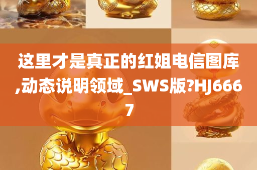 这里才是真正的红姐电信图库,动态说明领域_SWS版?HJ6667