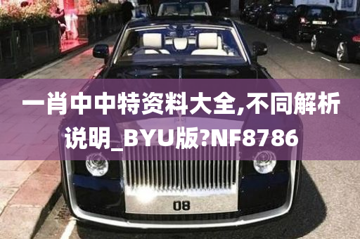 一肖中中特资料大全,不同解析说明_BYU版?NF8786