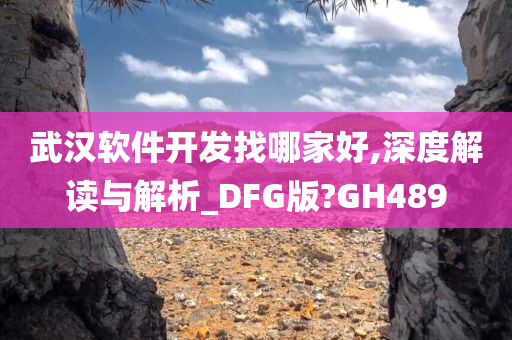 武汉软件开发找哪家好,深度解读与解析_DFG版?GH489