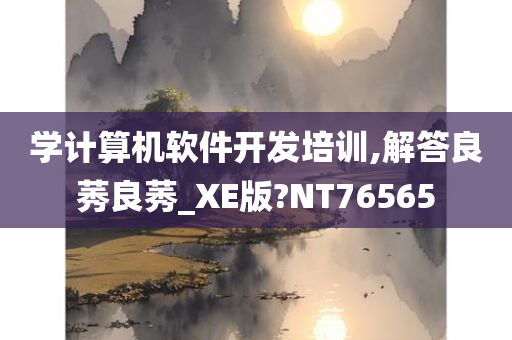 学计算机软件开发培训,解答良莠良莠_XE版?NT76565