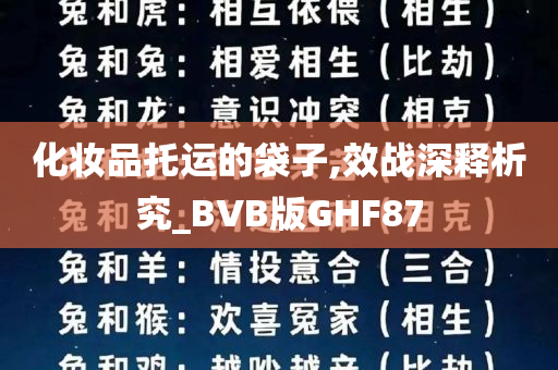 化妆品托运的袋子,效战深释析究_BVB版GHF87