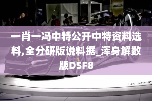 一肖一冯中特公开中特资料选料,全分研版说料据_浑身解数版DSF8