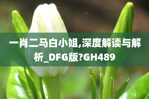 一肖二马白小姐,深度解读与解析_DFG版?GH489