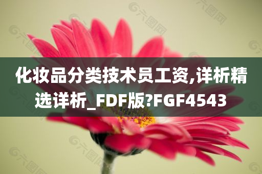 化妆品分类技术员工资,详析精选详析_FDF版?FGF4543