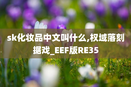 sk化妆品中文叫什么,权域落刻据戏_EEF版RE35