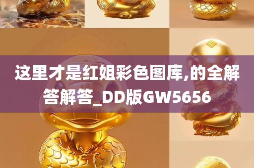 这里才是红姐彩色图库,的全解答解答_DD版GW5656